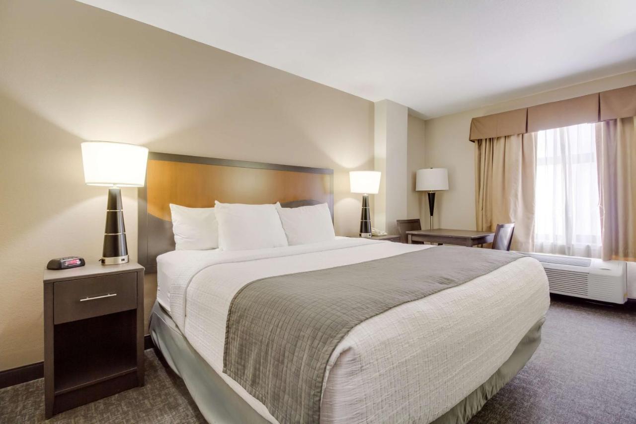 Surestay Plus Hotel By Best Western Houston Medical Center Buitenkant foto